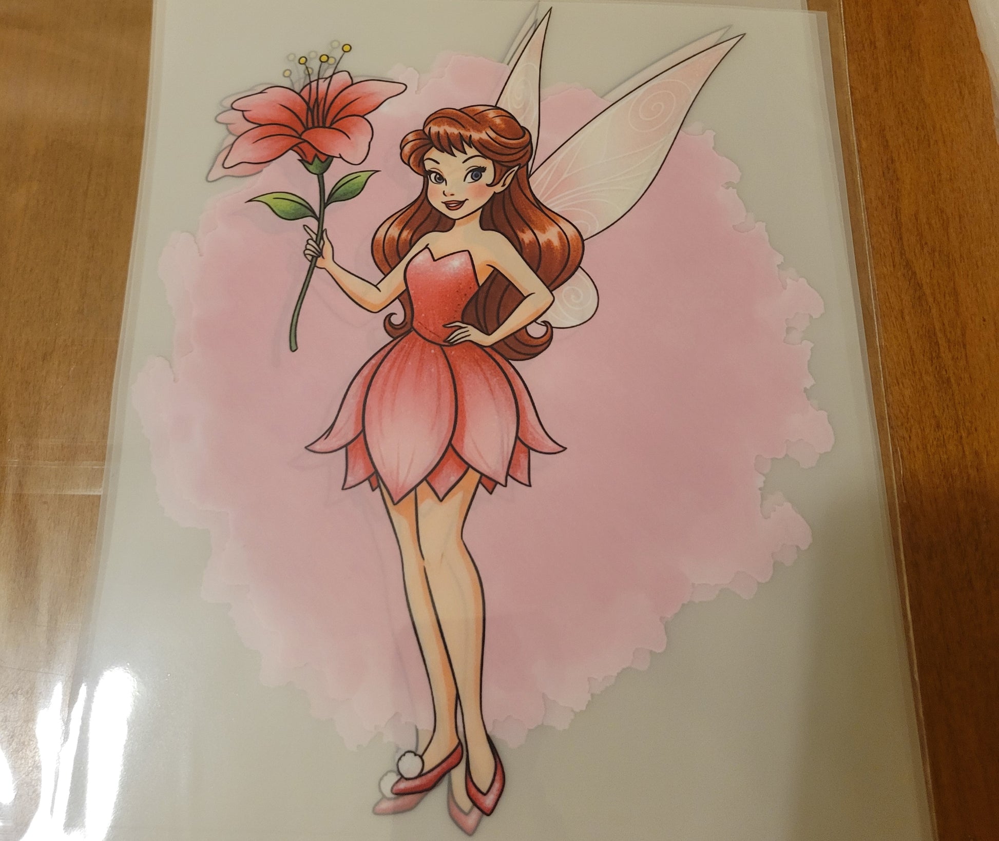 Tinker Bell & Friends image 9