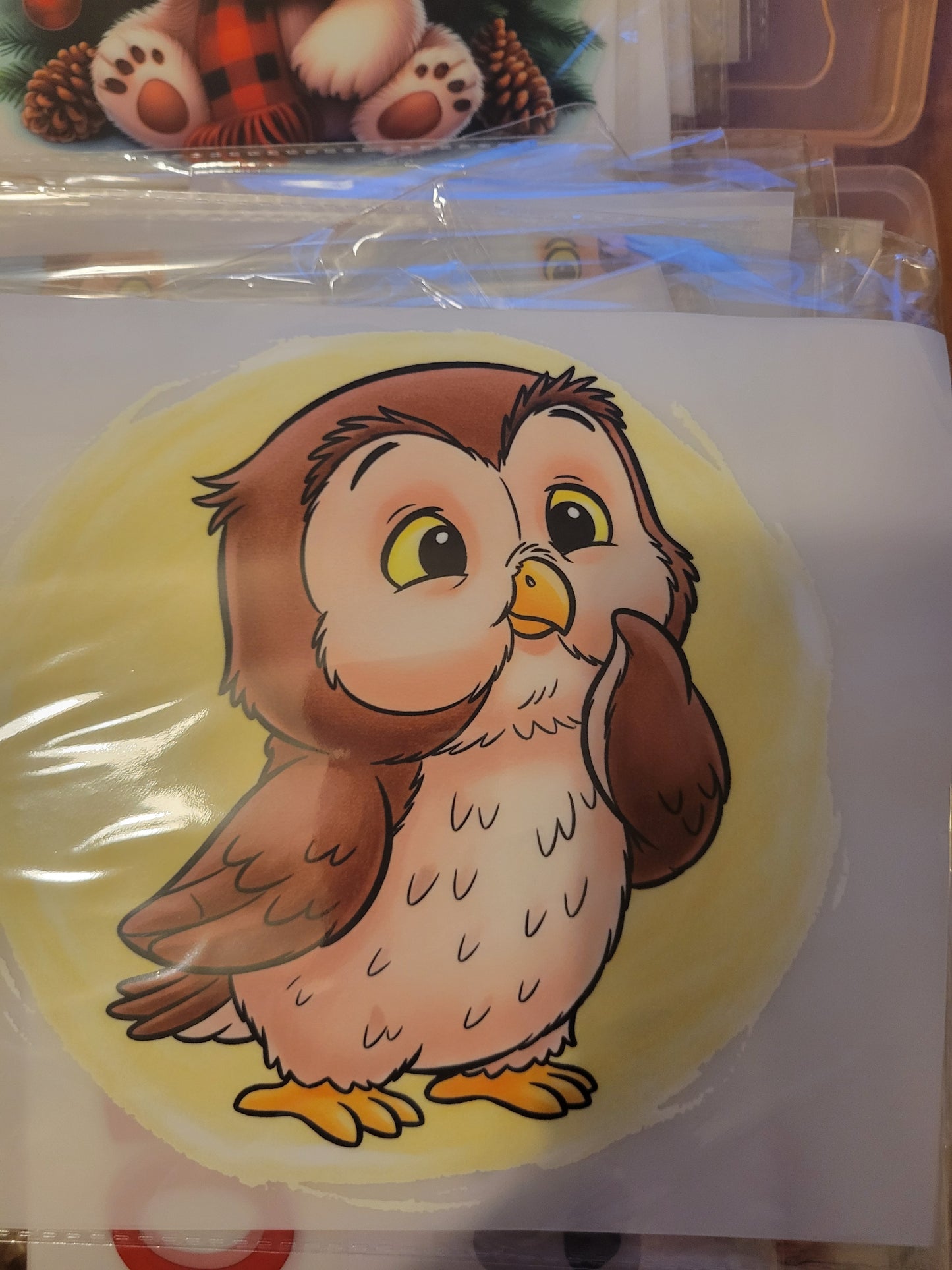 Owl image 1