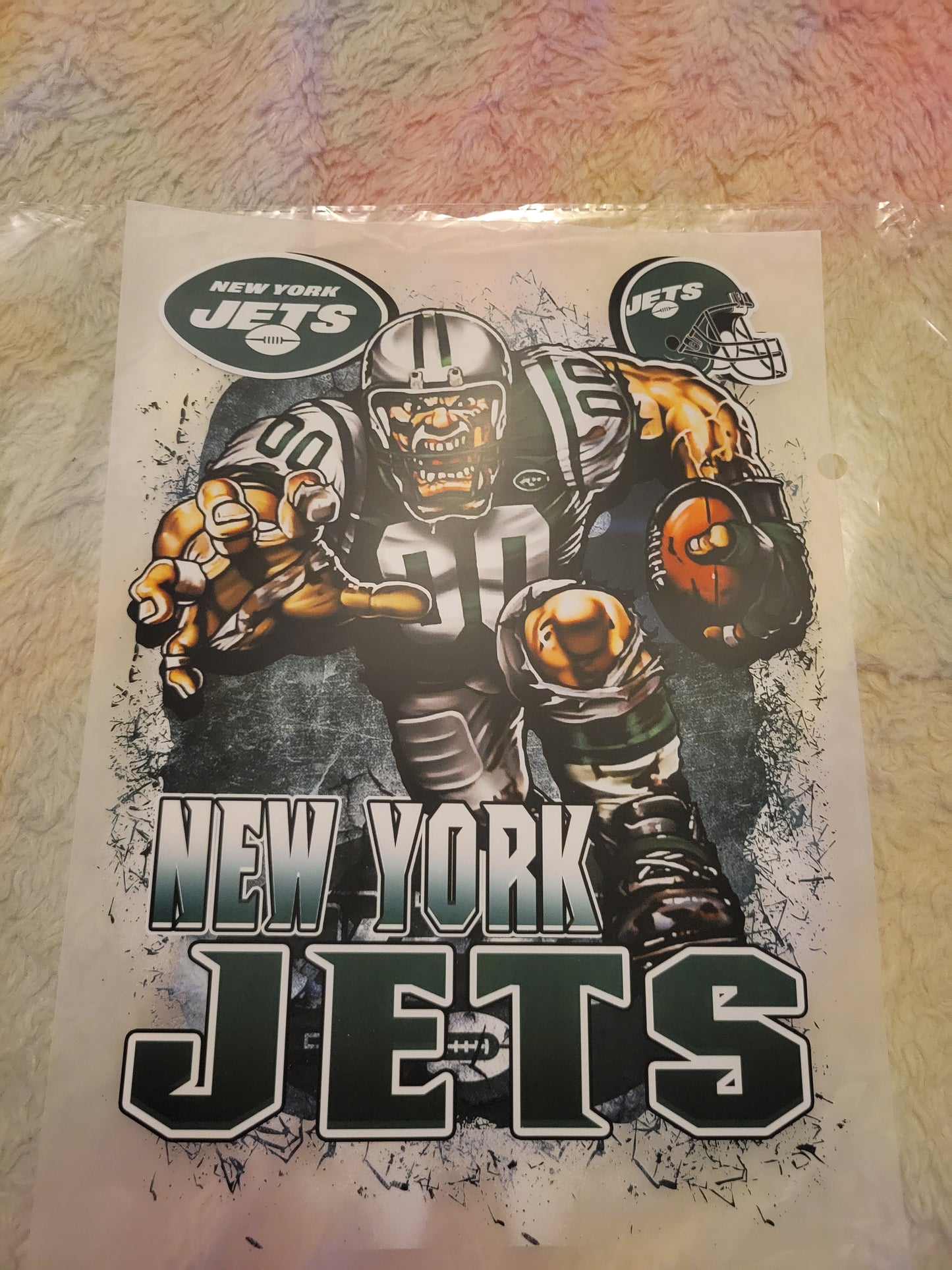 🏈 NFL AFC Division Football Mascot – DTF Transfers 🏈 image 4